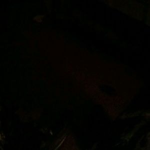 Meet your Posher, Greg